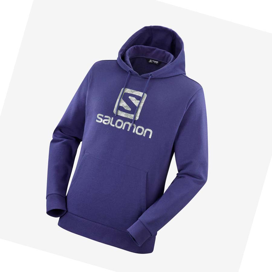 Salomon OUTLIFE LOGO SUMMER Erkek Kapüşonlu Sweatshirt Mor | TR 3220XYU